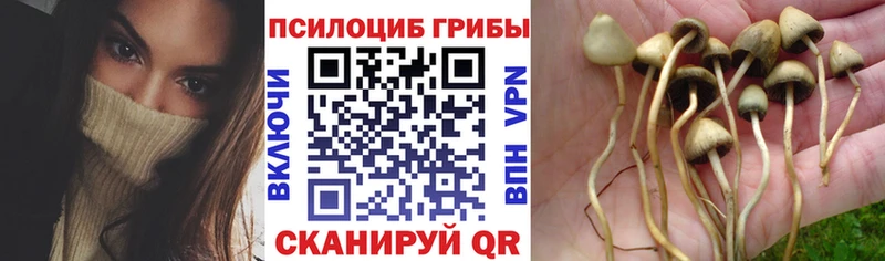 закладка  Суровикино  Галлюциногенные грибы ЛСД 
