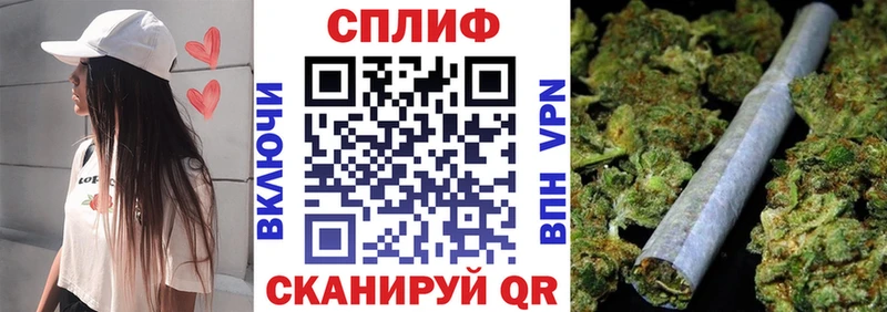 Каннабис сатива  Суровикино 
